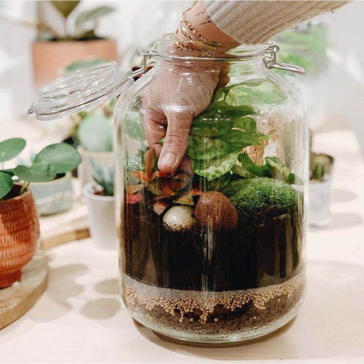 Atelier terrarium - One of a kind concept store