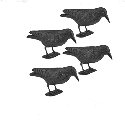 WELLGRO Lot de 4 répulsifs pour oiseaux – corbeaux assis en plastique noir Amazon